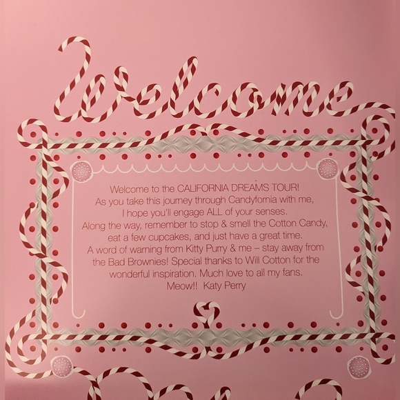 Katy Perry 2011 California Dreams Tour Program - Picture 3 of 7